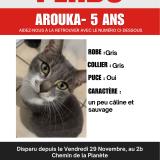 Foto del gato perdido en Tarbes 65000