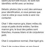 Foto de gato encontrado en Saint Leu La Foret