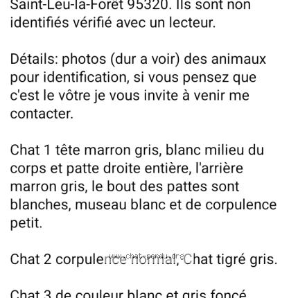 Foto 1/1 Gato encontrado Encontrado en Saint leu la foret