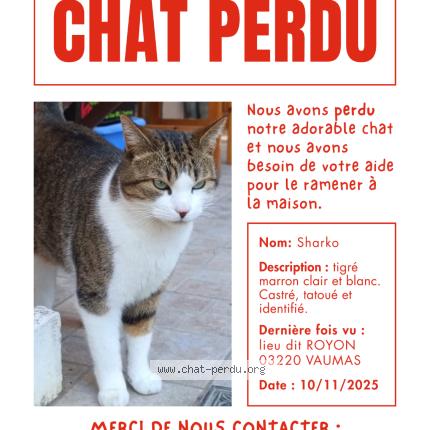 Foto 1/1 Sharko Chat perdido en Vaumas