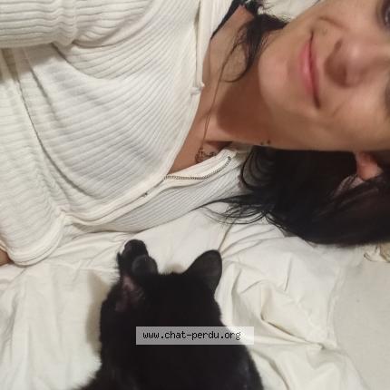 Foto 1/1 Demi-Lune Chat perdido en Quebec