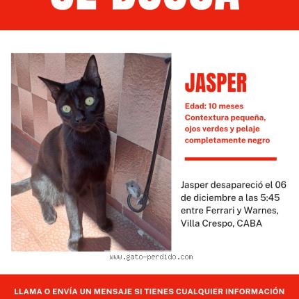 Foto 1/1 Jasper Chat perdido en Villa crespo