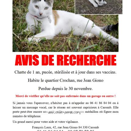 Foto 1/4 Popcorn Chat perdido en Caromb