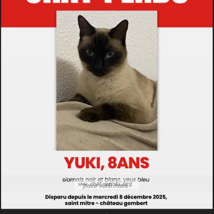 Foto 1/1 Yuki Chat perdido en Marseille