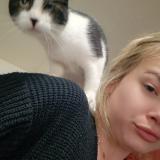 Foto del gato perdido en Roville Devant Bayon