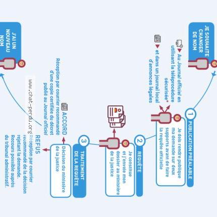 Foto 1/1 Gato encontrado Encontrado en St marcet