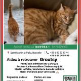 Foto del gato perdido en Chabournay