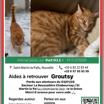 Foto 1/1 groutsy Chat perdido en Chabournay
