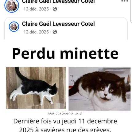 Foto 1/1 Minette Chat perdido en Savieres