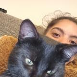 Foto del gato perdido en La Garnache