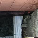 Foto de gato encontrado en Le Cannet Des Maures