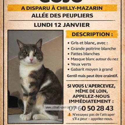 Foto 1/1 Gojo Chat perdido en Chilly mazarin