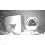 Foto de gato encontrado en Dans Notre Jardin