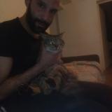 Foto del gato perdido en Pommeuse