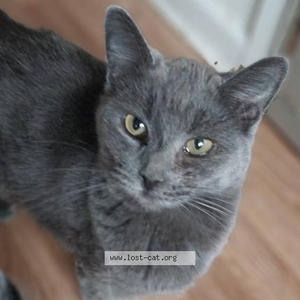 Foto 1/1 Monster Chat perdido en Winston