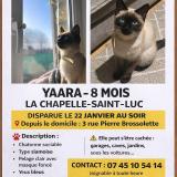 Foto del gato perdido en La Chapelle Saint Luc