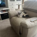 Foto del gato perdido en Mericourt