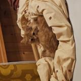 Foto del gato perdido en Mezieres Vd