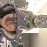 Foto del gato perdido en Pearidge