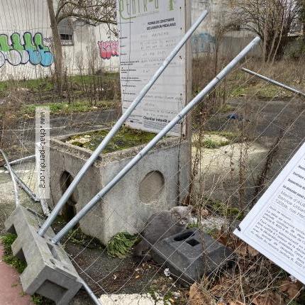 Foto 2/2 Gato encontrado Encontrado en Aubervilliers