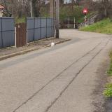 Foto de gato encontrado en Arnage