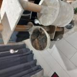 Foto del gato perdido en Civrac De Blaye