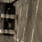 Foto de gato encontrado en Paris