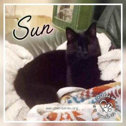 Foto 1/1 Sun Chat perdido en Kerien