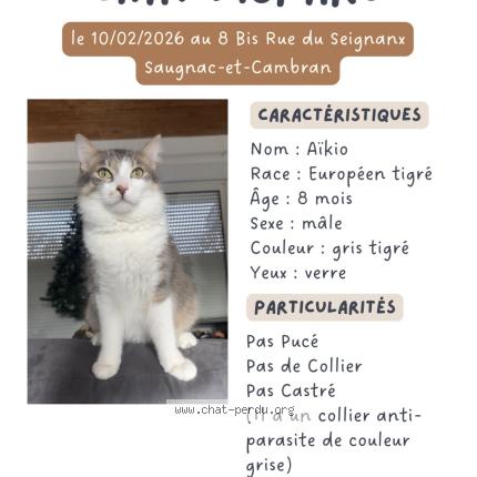 Foto 1/1 A&iuml;kio Chat perdido en Saugnac et cambran