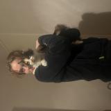 Foto del gato perdido en Toulouse