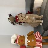 Foto del gato perdido en Sollies Pint