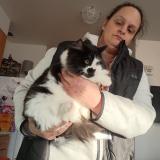 Foto de un gato reunido en Lynnwood