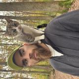 Foto del gato perdido en Chemery