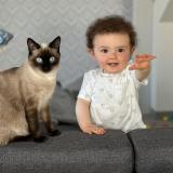 Foto del gato perdido en Pusey