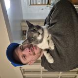 Foto del gato perdido en Terrebonne