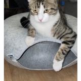 Foto del gato perdido en Creteil