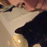 Foto del gato perdido en Bellac