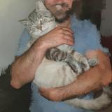 Foto del gato perdido en Trignac