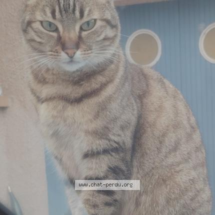 Foto 1/1 Ships Chat perdido en Roquettes