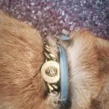 Foto de gato encontrado en Wittelsheim