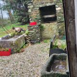 Foto de gato encontrado en Plouye