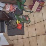 Foto de gato encontrado en Monestier D Ambel