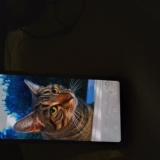 Foto del gato perdido en Roanne