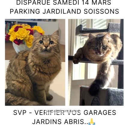 Foto 1/1 MIMI Chat perdido en Soissons