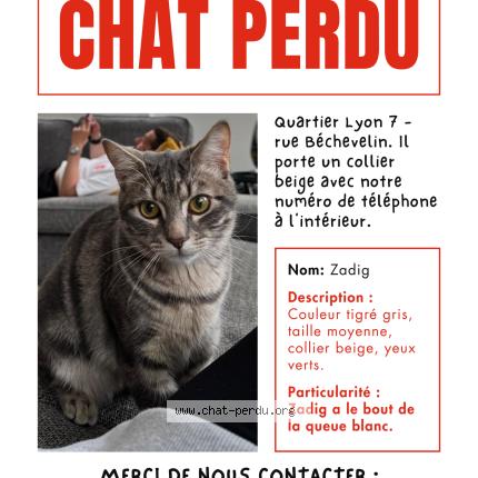 Foto 1/1 Zadig Chat perdido en Lyon