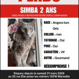 Foto del gato perdido en Marseille