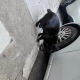 Foto de gato encontrado en Nice