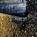 Foto de gato encontrado en La Rochelle