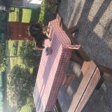 Foto de gato encontrado en Sartilly Baie Bocage