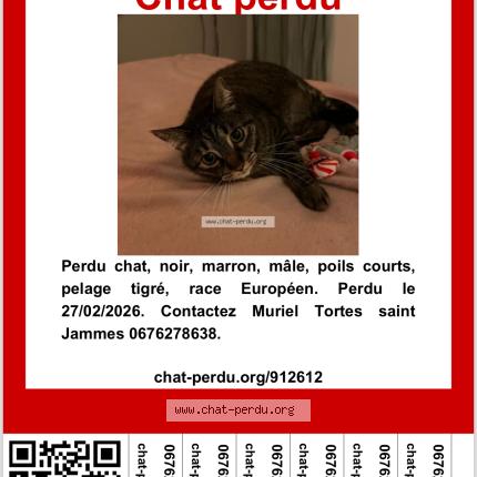 Foto 1/1 Sushi Chat perdido en Bordeaux